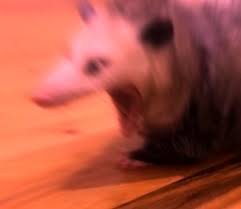 You can find and learn duas for. School For Good And Evil Tedros Explore Tumblr Posts And Blogs Tumgir