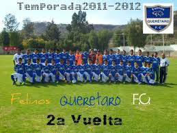 Detailed info on squad, results, tables, goals scored, goals conceded, clean sheets, btts, over 2.5, and more. Felinos Queretaro F C Home Facebook