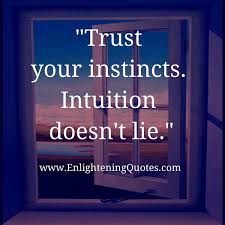When a word like 'gut' teams up with a word like 'feeling', you know there has to be a good reason. Trust Your Instincts Intuition Doesn T Lie Trust Your Instincts Trust Yourself Instinct Quotes