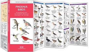 Phoenix Birds Pocket Naturalist Guide