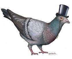 Pigeon In A Top Hat A4 Print Etsy Pigeon Pigeon Pictures Bird Photo