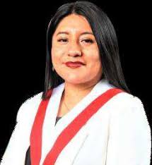 INFORME PRELIMINAR V