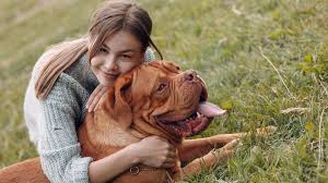 It will be released in 7 october 2021 for ps4, ps5, xbox one, xbox series x and pc. Die Besten Hunde Apps 5 Anwendungen Fur Hundehalter Innen