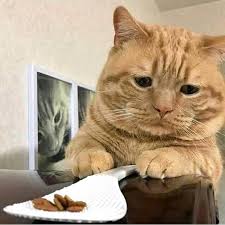 We did not find results for: Kucing Menangis Home Facebook