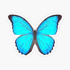 Blue Morpho Butterfly Art Sticker By Ariamarliart In 2020 Blue Morpho Butterfly Butterfly Art Blue Morpho