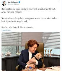 Akşener, evli ve 1 çocuk annesidir. Interview 51 Turkish Populism And Meral Aksener S Good Party Pop
