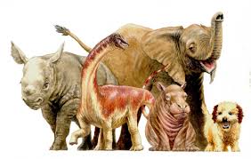 .game/primalearth/dinos/titanosaur/titanosaur_character_bp.titanosaur_character_bp' 500 0 0 35. Newly Discovered Baby Titanosaur Sheds Light On Dinosaurs Early Lives