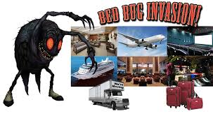 Struggling to control a growing population of rodents in your home? Bed Bug Removal D And S Termite And Pest Control