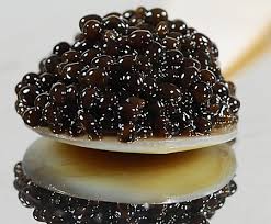 Aceste exemplare de pastruga salbatica au fost prinse cu setca. Caviar La Borcan De 300 De Grame Vandut La ColÅ£ul Blocului ViaÅ£a LiberÄ GalaÅ£i