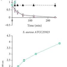 Image result for Trifolium baccarinii