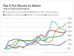 Profit Trends