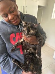 ZIM PETS LOST & FOUND