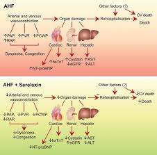 Heart Failure European Heart Journal Oxford Academic