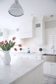 Cherry kitchen accessories decor, cherry kitchen cabinet ideas. 32 The Ultimate Kitchen Remodel Countertops Quartz Counter Tops Trick 20 Decorinspira Com Kitchen Remodel Countertops Kitchen Design Trends Diy Countertops