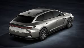 Image result for Manganese Luster 2025 LZ