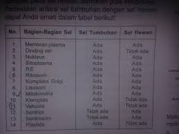 Sel yang terdapat pada hewan. Apakah Perbedaan Sel Hewan Dan Tumbuhan Versi Tabel Brainly Co Id