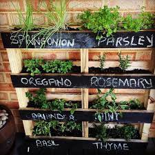 Diy Pallet Vertical Herb Garden Hanging Planter 99 Pallets Vertical Garden Diy Vertical Herb Garden Vertical Herb Gardens
