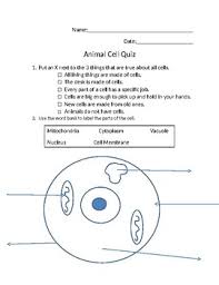 Check spelling or type a new query. Animal Cell Quiz By Megan Berlekamp Teachers Pay Teachers
