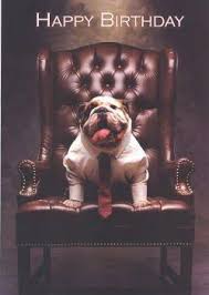 Check spelling or type a new query. Bulldog Birthday Card Happy Birthday Dog Bulldog Happy Birthday Bulldog Funny