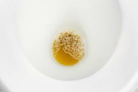 We did not find results for: Bubble In Urine Common Causes Symptoms And Treatment