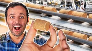 Moléculas inibidoras de metástase tumoral são pesquisadas na UFSCar