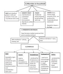 Cbse Class 12 Biology Microbes In Human Welfare Flow Chart