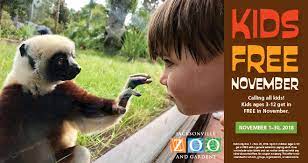 Kids Free November At The Jacksonville Zoo And Gardens Jax Examiner