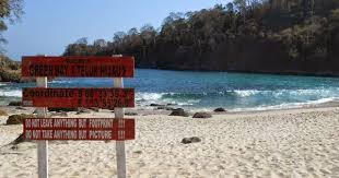 Cappuccino Hunter Teluk Hijau Green Bay Kebangga An Kota Banyuwangi Hijau Tours Green Bay