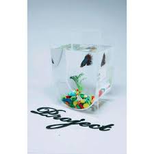Tips cara membuat aquarium mini besar sendiri,akuarium unik,hiasan dari dinding memakai barang bekas dalam filter pompa air terjun dan air mancur sederhana. Jual Aquarium Mini Unik Acrylic Soliter Online Mei 2021 Blibli