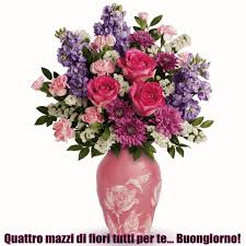 Buongiorno fiori immagini 2021 se vuoi un messaggio mattutino fantastico e bellissimi fiori / rose, ecco alcune idee di immagini e messaggi di buongiorno dolci e rose o fiori l'app ha più funzioni per dire ciao buongiorno e belle citazioni dei desideri del mattino con auguri di buon pomeriggio. Top 30 Buongiorno Fiori Gifs Find The Best Gif On Gfycat