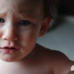 Pam Linke, Author at The Spoke