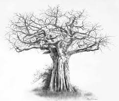 Black And White Pencil Drawings Of Trees 25 Beautiful Tree Drawing Examples From Around The World Tree Drawing Baobab Tree Picture Tree
