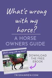 We did not find results for: Horse Communication Horses Horse Body Language Healthy Horses