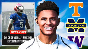 Ncaa 14 College Football Revamped RTG|Ep.14 Transfer Portal Update With  Teams Interested