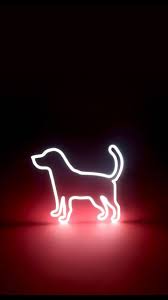 Neon Sign Tumblr Wallpaper Dog Wallpaper Neon Light Wallpaper Iphone Wallpaper Lights Neon