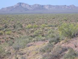 This put us right in the heart of the national. Organ Pipe Cactus National Monument Wikipedia