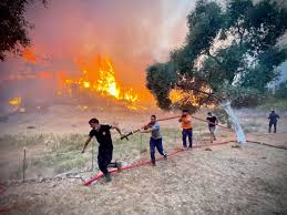 Adi hütter steht bei eintracht frankfurt in der kritik! Qgmpccngxomngm