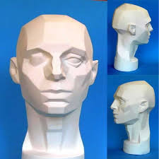 Planes Of The Head Or Asaro Head Model Planes Of The Face Geometric Face Silverpoint Drawing