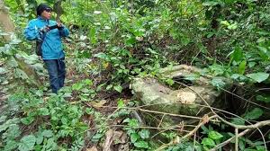Jika anda mencari tanaman kebun yang bernutrisi dan sedikit perawatan, ubi adalah jawabannya. Penemuan Yoni Besar Dan Sisa Stupa Di Antara Semak Belukar Di Dusun Pagerjurang Sleman Tribun Jogja