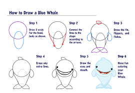 Then draw a dorsal fin at the top. Learn How To Draw A Blue Whale Wkn Webkinz Newz