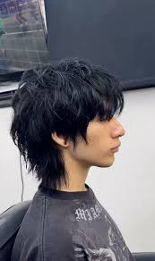 Hairstylist recommendations for men's haircuts?