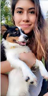 Lost Bird in Clifton Park Area