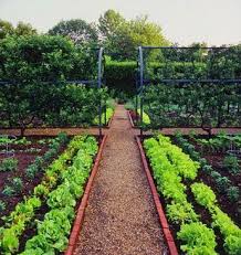 Sourdough Popovers Flourish King Arthur Flour Potager Garden Veggie Garden Veg Garden