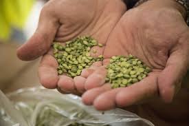 Canned foods (no salt, or low salt options preferred, 15 oz.) 8 Facts About How Food Waste And Global Hunger Are Connected