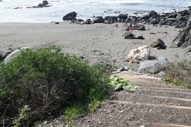 Shell Beach Jenner Ca California Beaches