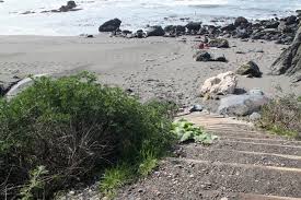 shell beach jenner ca california beaches