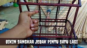 We did not find results for: Bikin Sangkar Jebak Burung Pintu Satu Youtube