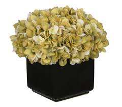 Check spelling or type a new query. House Of Silk Flowers Artificial Hydrangea In Large Black Cube Ceramic Sage Cream Silk Flower Arrangements