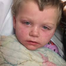 In Celebration of the Life of Mattie Fields