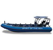 OEM/ODM Solid Collar Aluminum Rigid Inflatable Boat ...